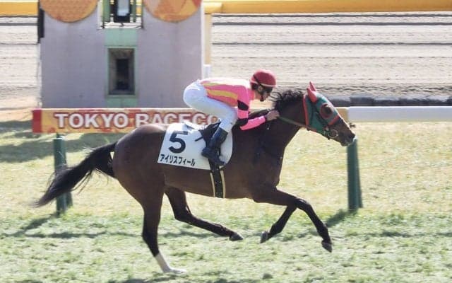 【東京5R/新馬戦】アイリスフィールが余力十分のデビュー勝ち