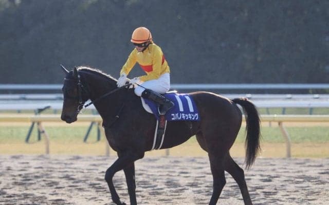 【フェブラリーS】菜七子「泣きそうにはなりました」G1初騎乗は果敢に追い込み大健闘の5着