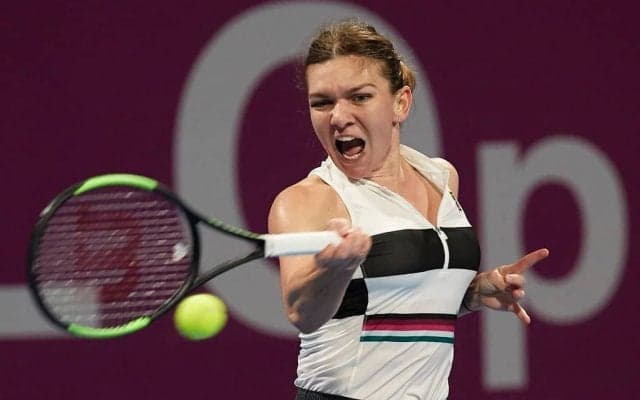 ハレプ、新コーチと1週間で別れ「焦らずゆっくりやります」