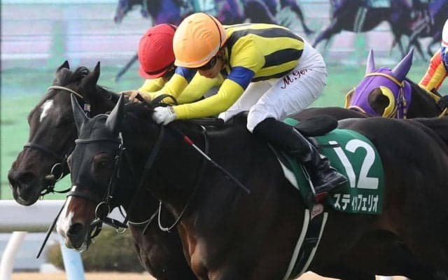 【小倉大賞典】スティッフィリオが重賞連勝！丸山「もっと伸びしろはある」