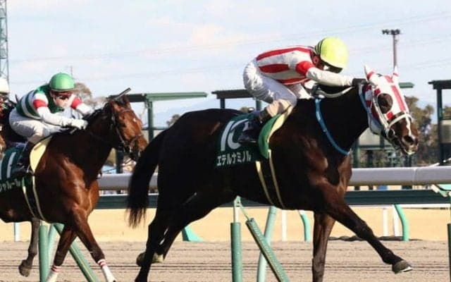 エテルナミノル号が競走馬登録抹消