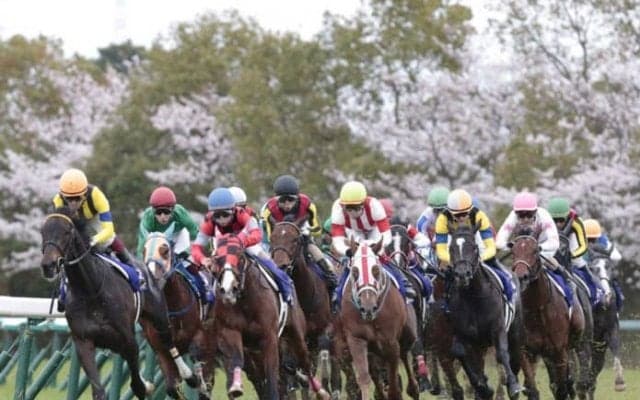 レーヌミノル号が競走馬登録抹消