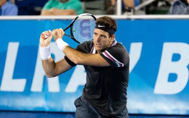 デル ポトロが23歳地元選手との準々決勝へ。マルセイユではマクラクラン勉ペアが準決勝に臨む