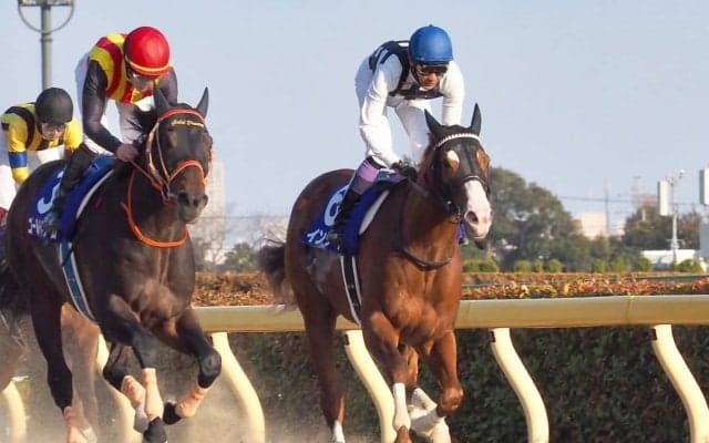 【武豊日記】G1ウィナー