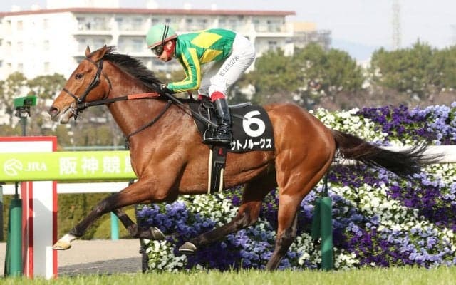 【すみれS】良血サトノルークスが3勝目をマーク！クラシックへ手応え