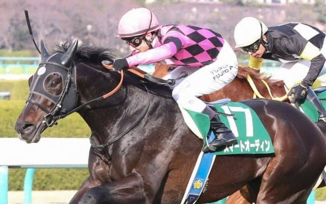 【阪急杯】藤岡佑「かなり能力が高い」スマートオーディンが復活V！