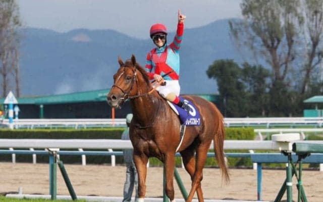 グレイスフルリープ号が競走馬登録抹消