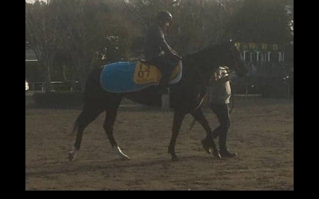 【オーシャンS】ナックビーナス 3度目の正直なるか