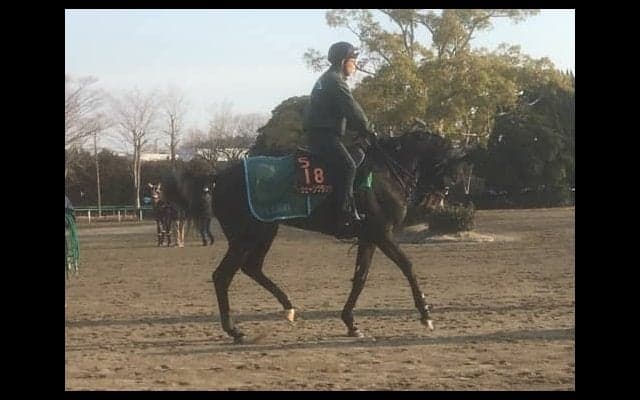 【チューリップ賞】良血シェーングランツ巻き返しなるか