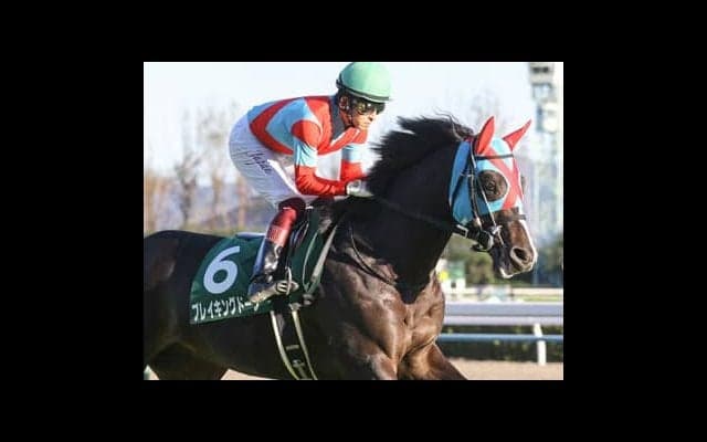 穴党記者の意見が一致。弥生賞は中山向きの血を持つ２頭でウハウハだ