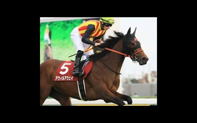 ＧＩ回避がプラスに。アウィルアウェイがパワーアップして復活！