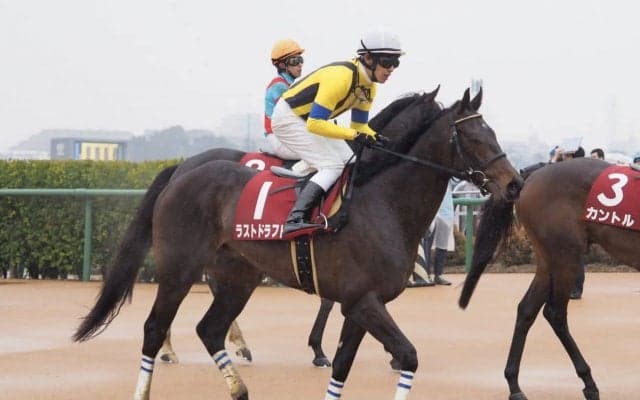 【弥生賞】ラストドラフト直線失速…7着敗退