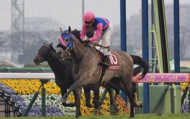 【弥生賞】メイショウテンゲンが力強く差し切る！重賞初制覇