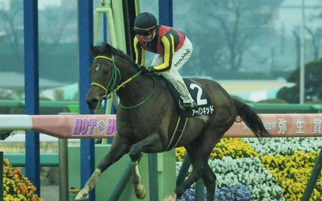 【スピカS】アーバンキッドがロスのない競馬で差し切りV！