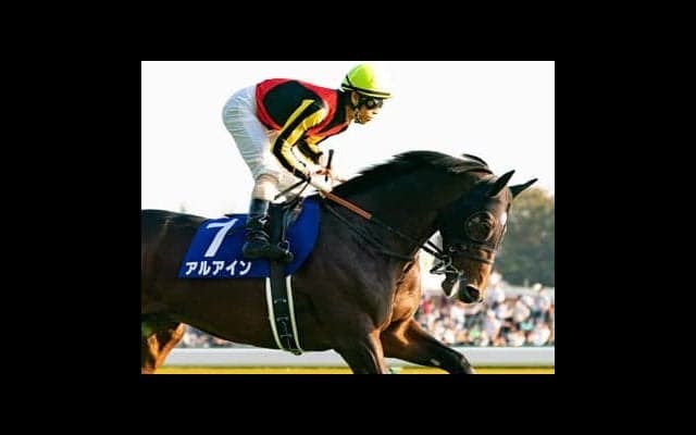 金鯱賞、ダノン推しの元ダービージョッキーが妙に気にする、もう１頭