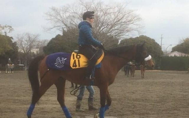 【中山牝馬S】フロンテアクイーン 重賞2着が5回！待望の制覇へ