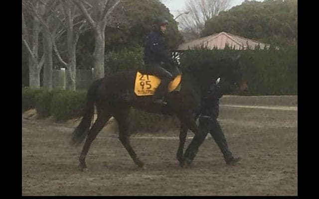 【中山牝馬S】ワンブレスアウェイ 古賀慎師「ラストランに相応しいデキ」