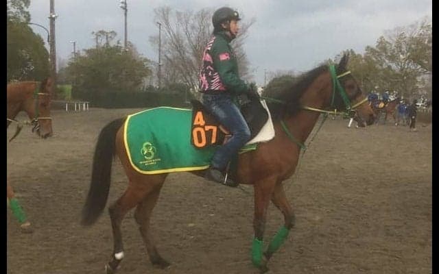 【フィリーズレビュー】ココフィーユ 逆輸入ジョッキーを背に権利取りに挑む