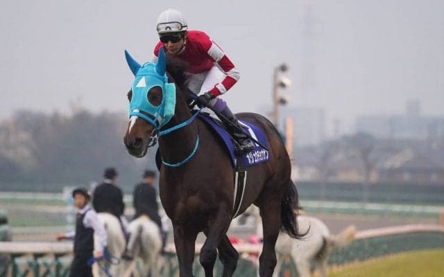 【阪神スプリングJ】オジュウチョウサン障害復帰で重賞制覇！