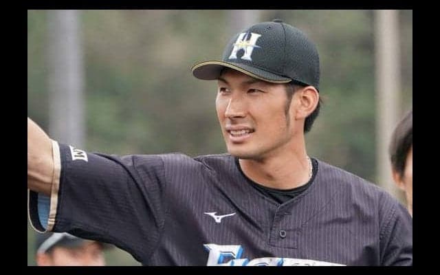 ハム大田は打率5割超え＆4発　阪神は唯一白星なし…12球団OP戦まとめ