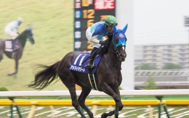 アドマイヤリード号が競走馬登録抹消