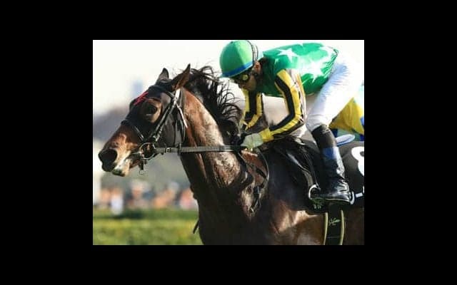 大荒れの前哨戦→スプリングＳも濃厚。今の中山好き３頭が波乱を生む