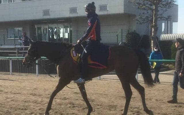 【阪神大賞典】コルコバード ラストランで有終の美なるか