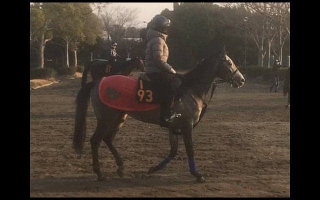 【スプリングS】エメラルファイト  ホーム中山で権利取りなるか