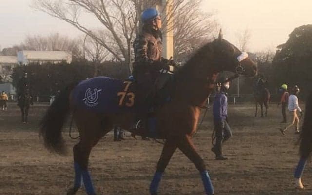 【スプリングS】ディキシーナイト  国枝師「馬が自信をもっている感じ」