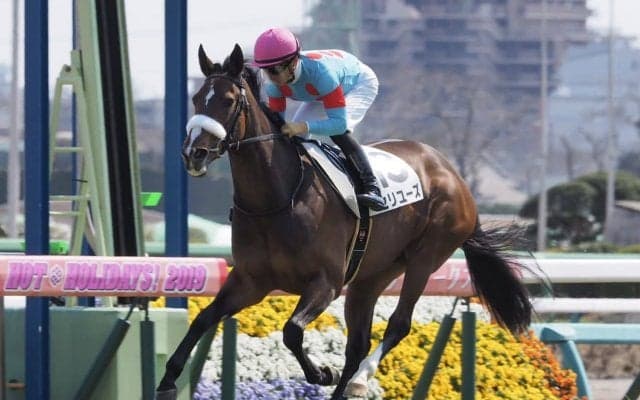 【中山6R】ディープインパクト産駒 セリユーズが圧勝！