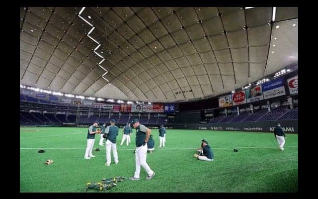 【MLB】アスレチックス、日ハム戦は「未知の領域」米メディアは応援スタイルにも注目