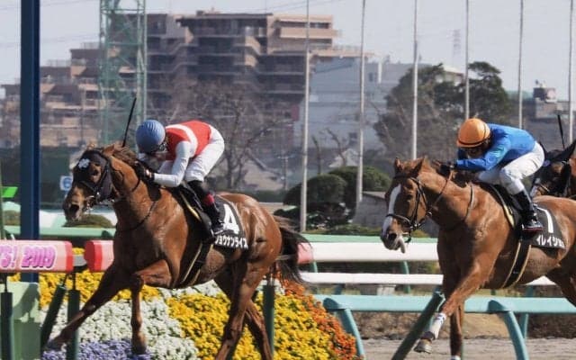 【幕張S】三浦皇成が好調！6番人気ショウナンライズを勝利に導く