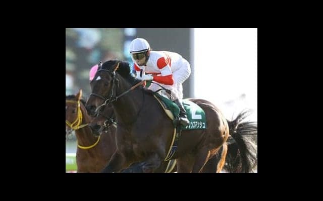 スプリント勝負の高松宮記念は、４歳の２頭が世代交代へと駆け抜ける