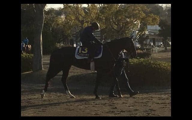 【高松宮記念】ナックビーナス  昨年3着の実績