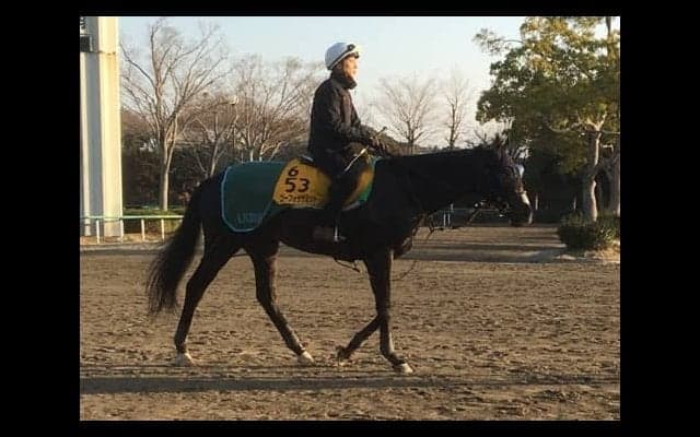 【日経賞】ゴーフォザサミット 藤沢和「この距離は合う」