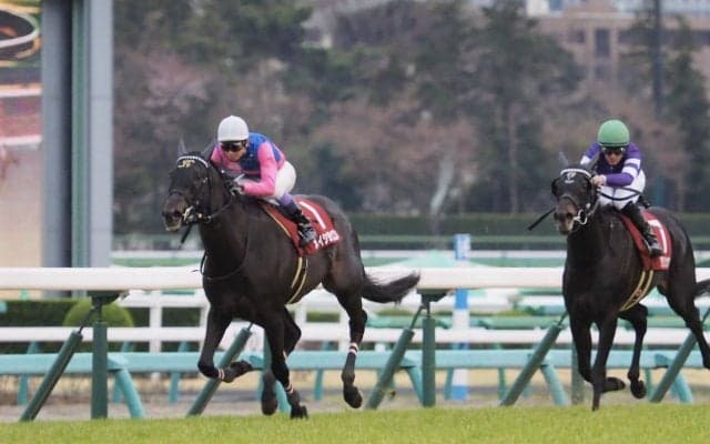 【日経賞】デムーロ「坂を上がってから…」関係者コメント