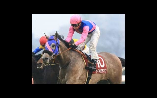 奇跡の子メイショウテンゲンの感動話。クラシックで再びドラマを生む