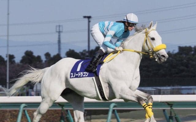【高松宮記念】菜七子 2度目のG1挑戦は17着！道中は危ない場面も