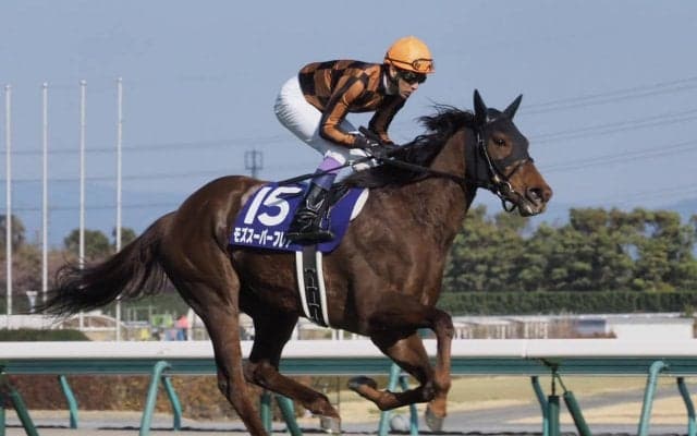 【高松宮記念】武豊「本来の走りでは…」モズスーパーフレア失速