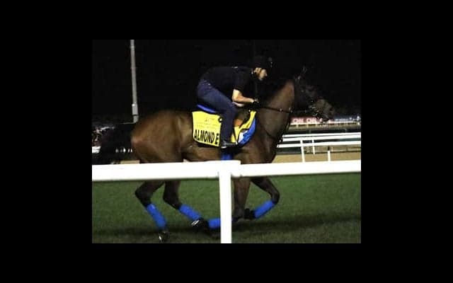 アーモンドアイがドバイＷＣに出走。有力な日本馬のリアル評価に迫る