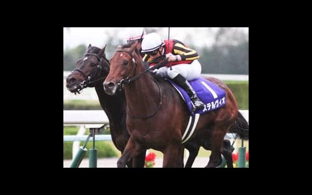 好メンバーが集結した大阪杯。人気の盲点となる３頭で花見を豪勢に！