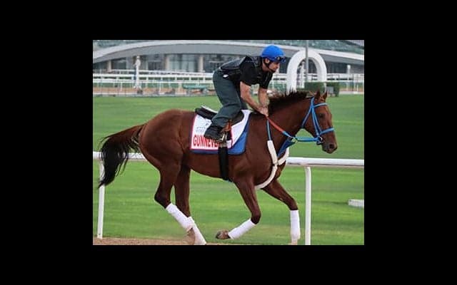 ドバイＷＣのヤバイ穴馬。砂漠のカーニバルで大穴の嵐が吹き荒れるか