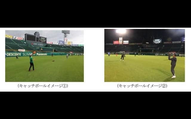 甲子園外野の天然芝生エリアを満喫できる「ナイター親子キャッチボール」4月開催