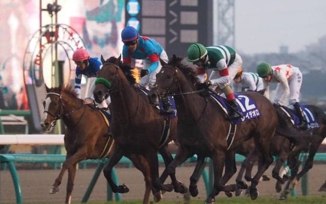 【大阪杯】枠順と見どころ キセキ4枠6番 ブラストワンピース5枠7番