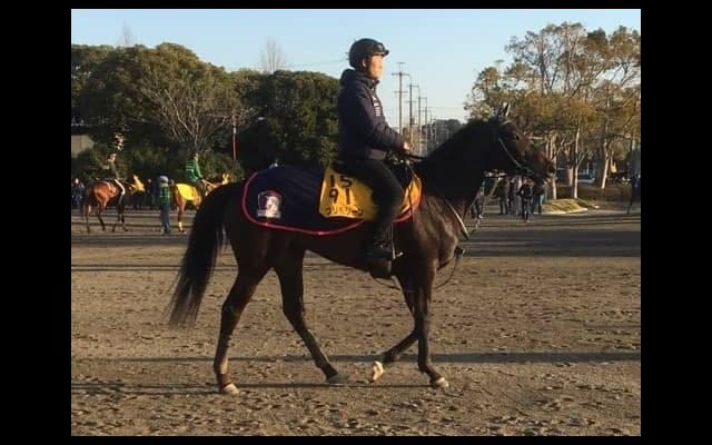 【ダービー卿CT】プリモシーン スムーズなら巻き返し可能