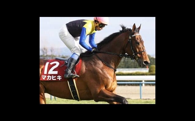 大荒れ予報の春のＧＩ戦線。大阪杯もリベンジ期す４頭で帯封ゲットだ