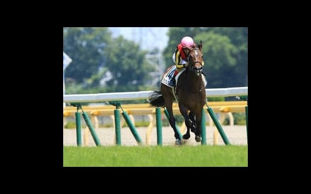 安藤勝己の「３歳牝馬番付」。桜花賞、オークスで勝てる馬を決めた