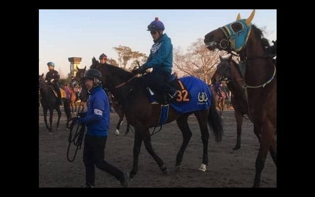 【ニュージーランドT】ヴィッテルスバッハ 池上師「ゲートがカギ」