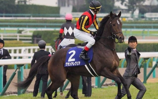 【桜花賞】枠順と見どころ グランアレグリアは4枠8番