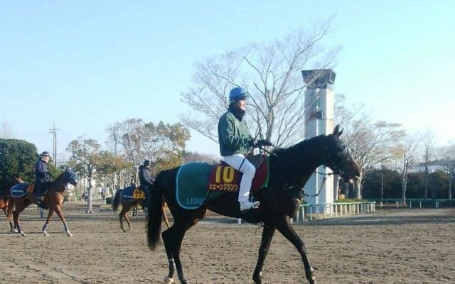 【桜花賞】シェーングランツ  黄金タッグで逆転なるか